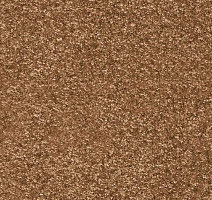 Ковролин AW Invictus Romelus 82 фото 1 | FLOORDEALER